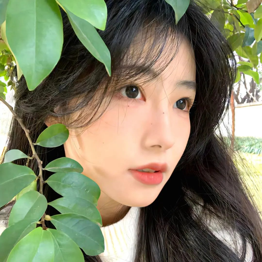 杀了龙马的人